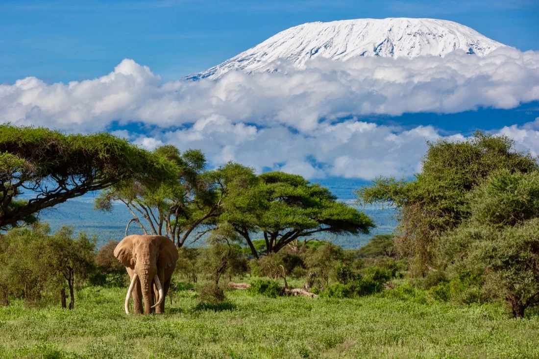 Kenia: Safari + Playa