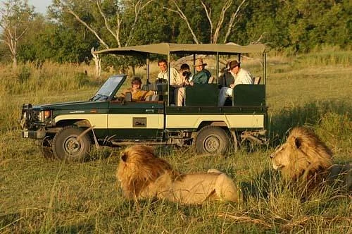Kenia: Safari + Playa