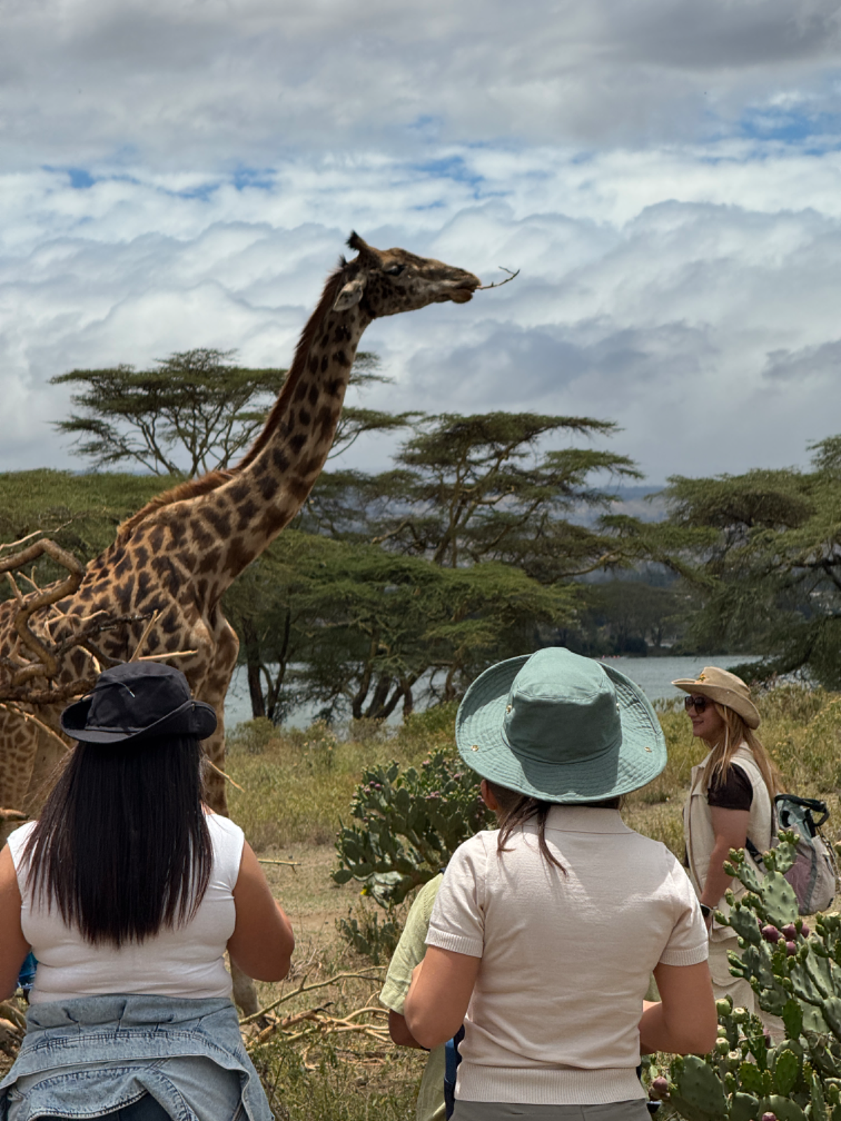 Kenia: Safari + Playa — foto 3
